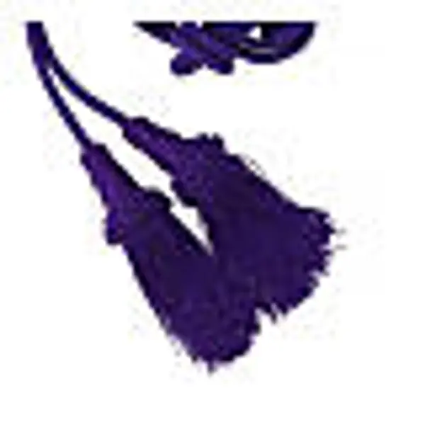 Cordon pour prêtre violet uni gland frange chainette bois