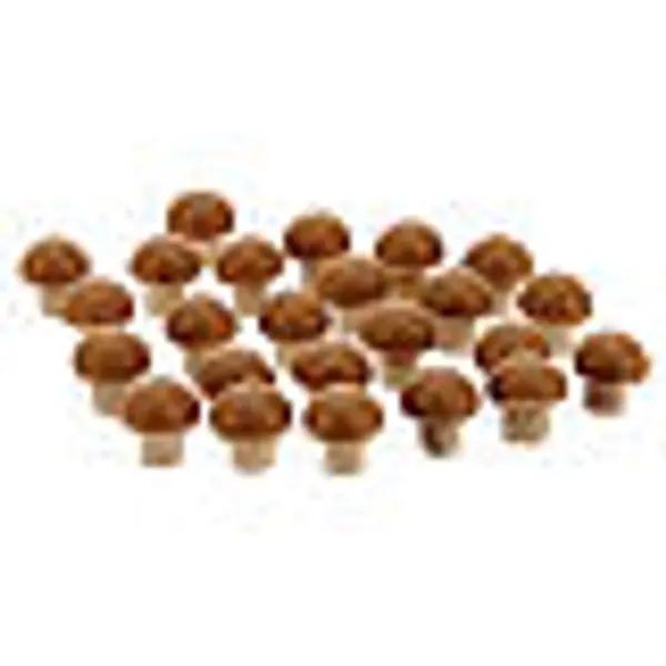 Champignons 24 pcs crèche 8 cm