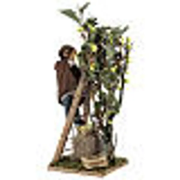 Homme sur échelle avec arbre 14 cm mouvement crèche Naples