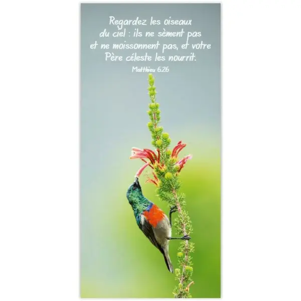 Marque-pages magnet