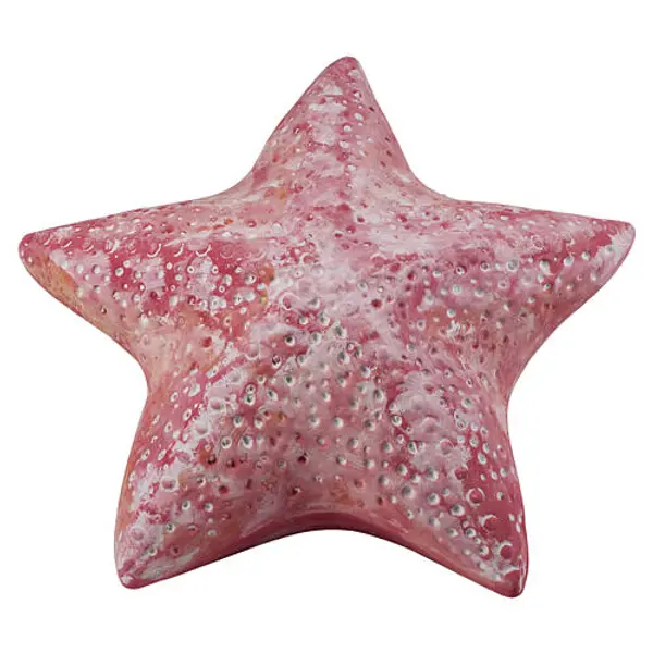 Urne cinéraire étoile de mer biodégradable rose