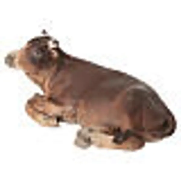 Boeuf crèche 13 cm terre cuite Angela Tripi