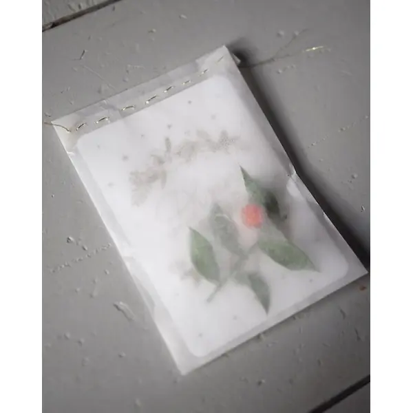 Sachet Glassine