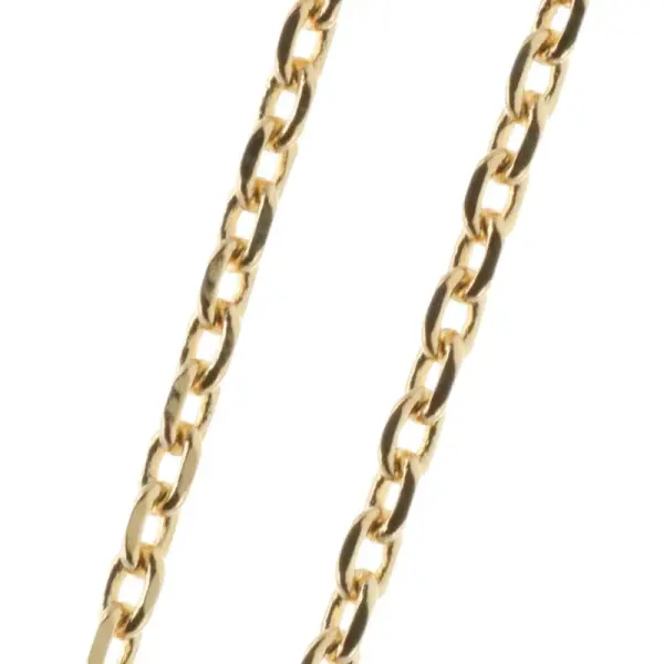 Gold Plated flat forçat link chain necklace 50cm