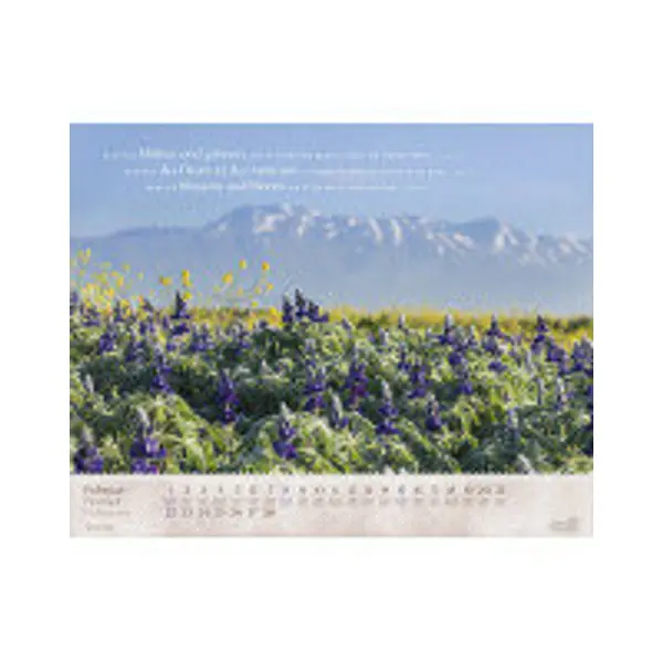 Calendrier Israël Shalom Merveilles 2027 : Format poster