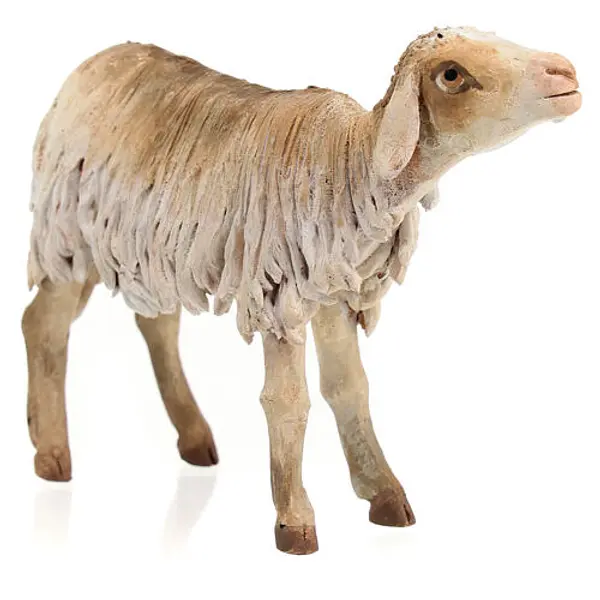 Brebis debout crèche 18 cm A. Tripi