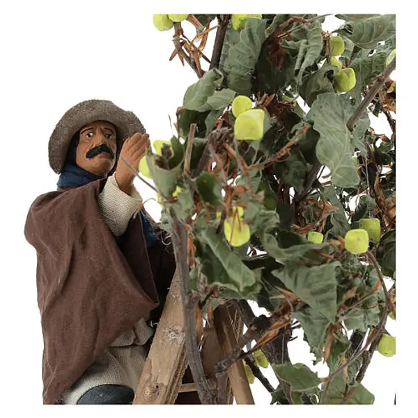 Homme sur échelle avec arbre 14 cm mouvement crèche Naples
