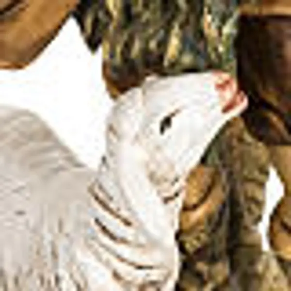 Berger avec mouton crèche Fontanini 65 cm résine