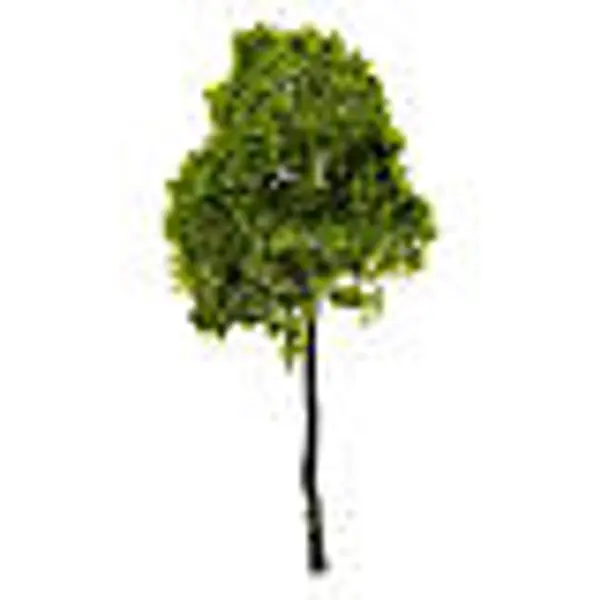 Arbre crèche 4-8 cm âme en fer Moranduzzo