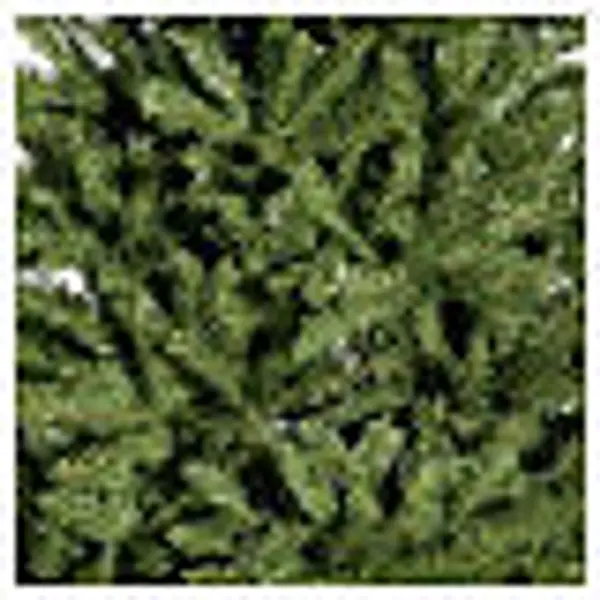 Sapin de Noël artificiel 225 cm vert Dunhill Fir