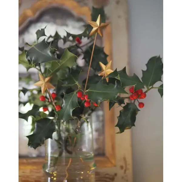 Bijoux de bouquet - étoile
