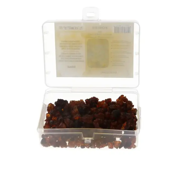 Encens Naturel en grains Opoponax - Boîte 50g