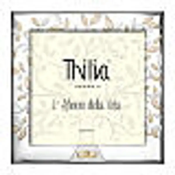 Cadre Thilia en aluminium argenté Arbre de Vie avec alliances 20x20 cm